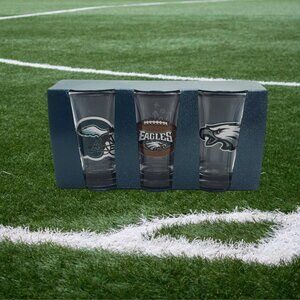 Hand-Designed Philadelphia Eagles Shot Glass Set — 3 Piece